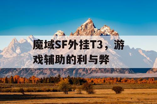 魔域SF外挂T3，游戏辅助的利与弊