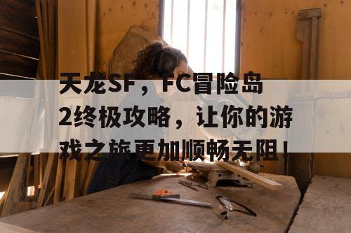 天龙SF，FC冒险岛2终极攻略，让你的游戏之旅更加顺畅无阻！