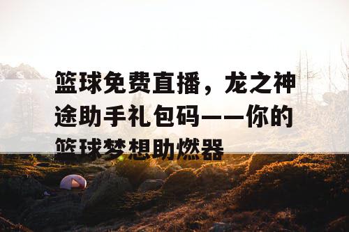 篮球免费直播，龙之神途助手礼包码——你的篮球梦想助燃器