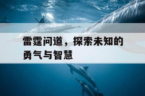 雷霆问道，探索未知的勇气与智慧