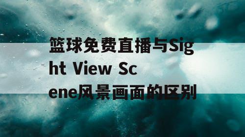 篮球免费直播与Sight View Scene风景画面的区别