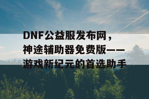 DNF公益服发布网，神途辅助器免费版——游戏新纪元的首选助手