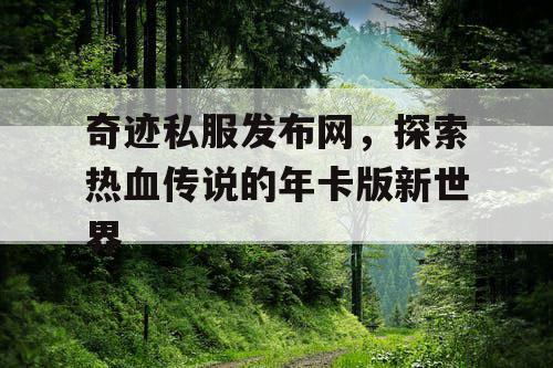 奇迹私服发布网，探索热血传说的年卡版新世界