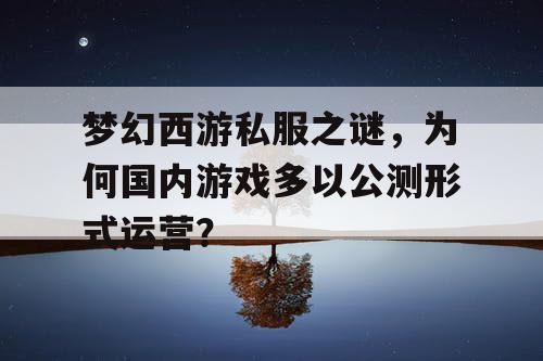 梦幻西游私服之谜，为何国内游戏多以公测形式运营？