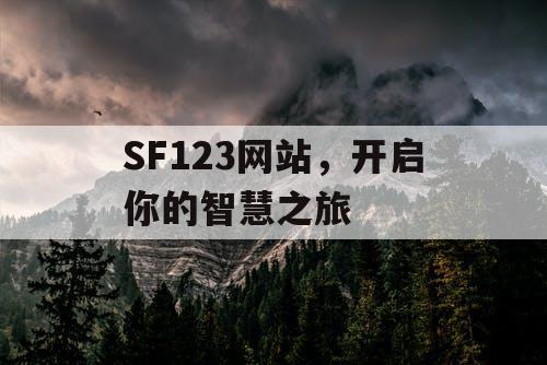 SF123网站，开启你的智慧之旅