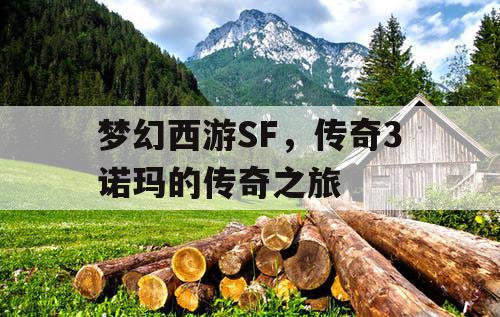 梦幻西游SF，传奇3诺玛的传奇之旅