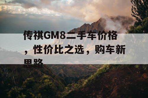 传祺GM8二手车价格，性价比之选，购车新思路