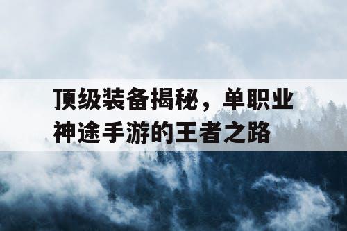 顶级装备揭秘，单职业神途手游的王者之路