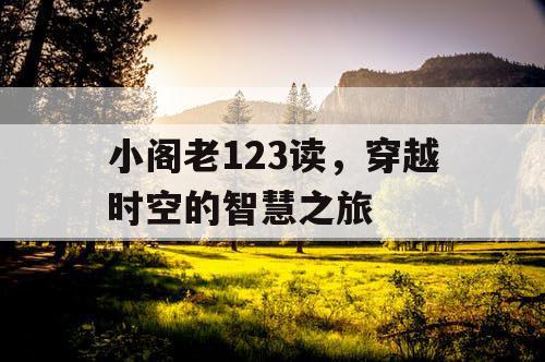 小阁老123读，穿越时空的智慧之旅