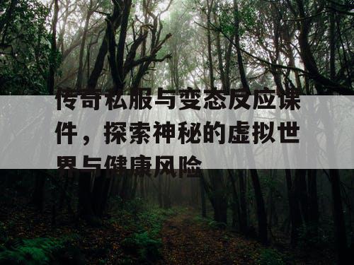 传奇私服与变态反应课件，探索神秘的虚拟世界与健康风险