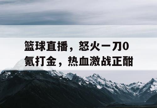 篮球直播，怒火一刀0氪打金，热血激战正酣