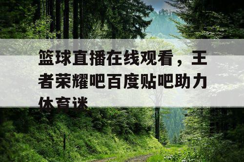 篮球直播在线观看，王者荣耀吧百度贴吧助力体育迷