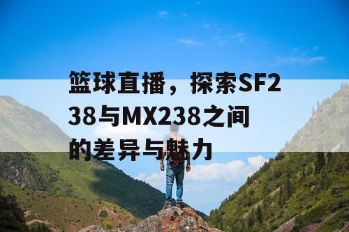 篮球直播，探索SF238与MX238之间的差异与魅力