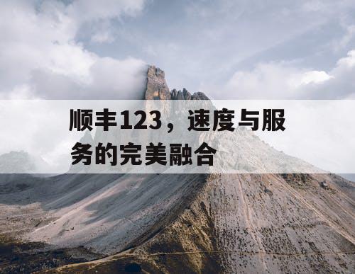 顺丰123，速度与服务的完美融合