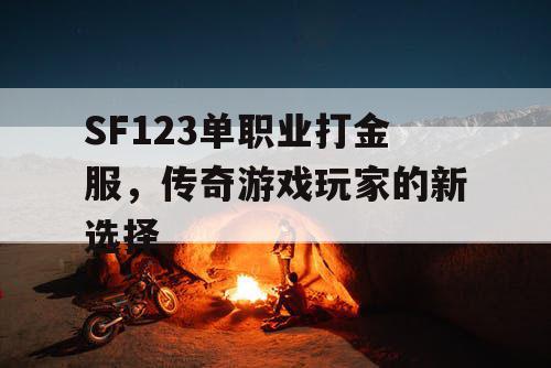 SF123单职业打金服，传奇游戏玩家的新选择