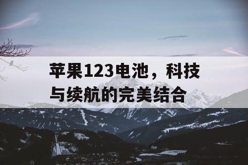 苹果123电池，科技与续航的完美结合