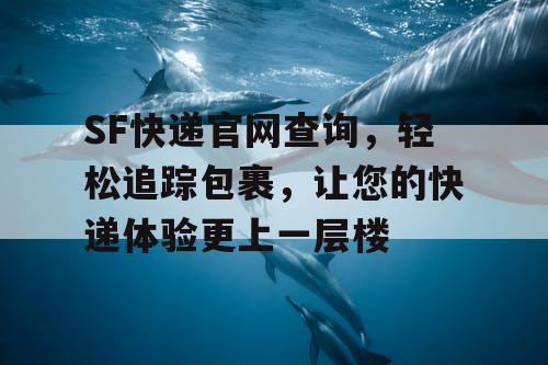 SF快递官网查询，轻松追踪包裹，让您的快递体验更上一层楼