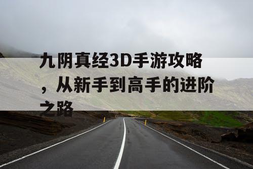 九阴真经3D手游攻略，从新手到高手的进阶之路