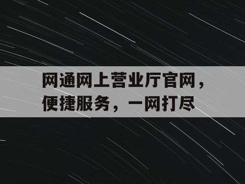 网通网上营业厅官网，便捷服务，一网打尽