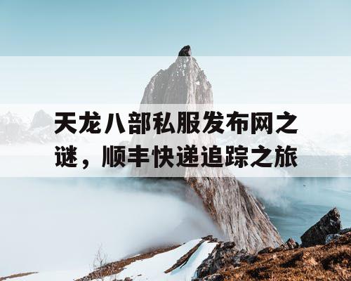 天龙八部私服发布网之谜，顺丰快递追踪之旅