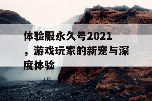 体验服永久号2021，游戏玩家的新宠与深度体验