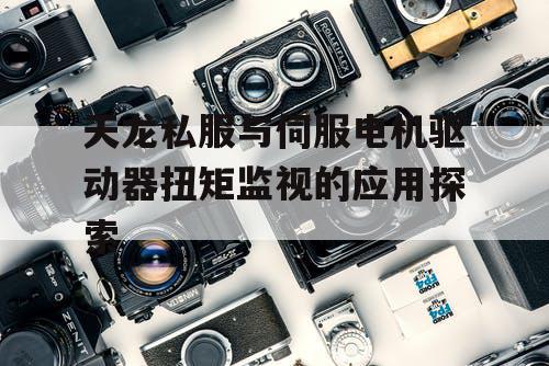 天龙私服与伺服电机驱动器扭矩监视的应用探索