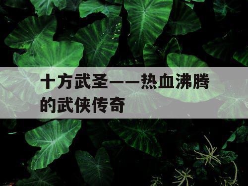 十方武圣——热血沸腾的武侠传奇