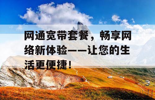 网通宽带套餐，畅享网络新体验——让您的生活更便捷！