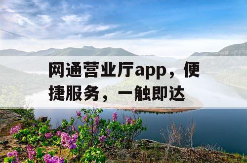 网通营业厅app，便捷服务，一触即达