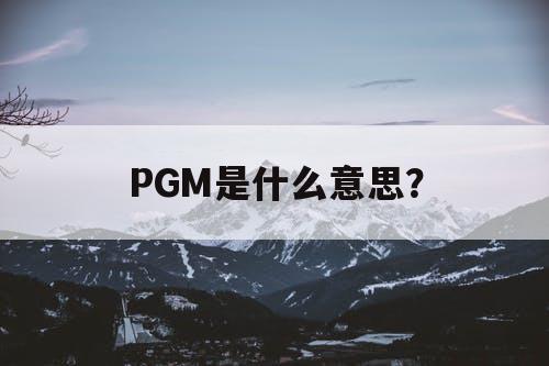 PGM是什么意思？