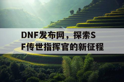 DNF发布网，探索SF传世指挥官的新征程