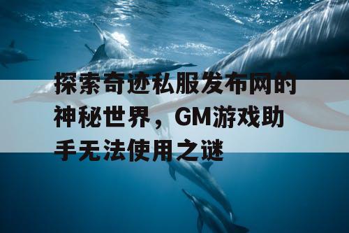 探索奇迹私服发布网的神秘世界，GM游戏助手无法使用之谜