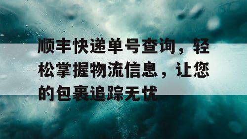 顺丰快递单号查询，轻松掌握物流信息，让您的包裹追踪无忧