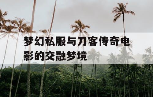 梦幻私服与刀客传奇电影的交融梦境