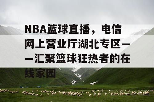 NBA篮球直播，电信网上营业厅湖北专区——汇聚篮球狂热者的在线家园