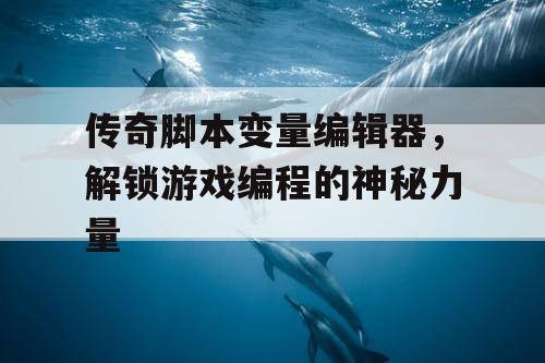 传奇脚本变量编辑器，解锁游戏编程的神秘力量