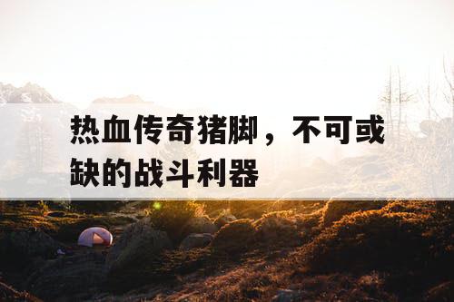 热血传奇猪脚，不可或缺的战斗利器