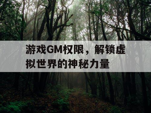 游戏GM权限，解锁虚拟世界的神秘力量