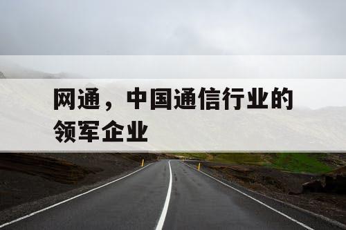 网通，中国通信行业的领军企业