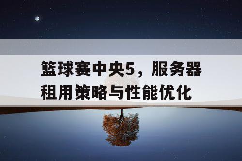 篮球赛中央5，服务器租用策略与性能优化