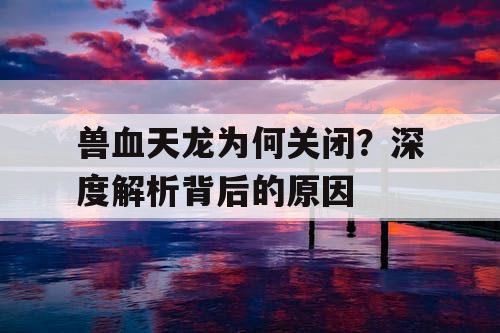 兽血天龙为何关闭？深度解析背后的原因