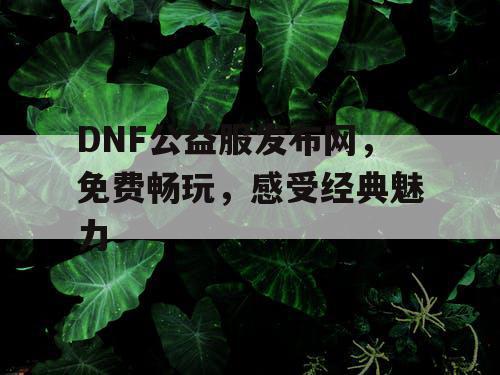 DNF公益服发布网，免费畅玩，感受经典魅力