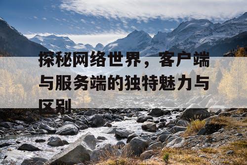 探秘网络世界，客户端与服务端的独特魅力与区别