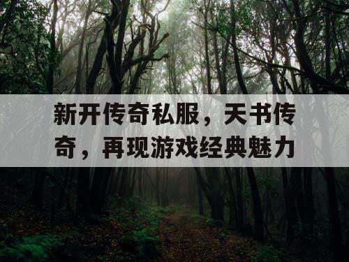 新开传奇私服，天书传奇，再现游戏经典魅力