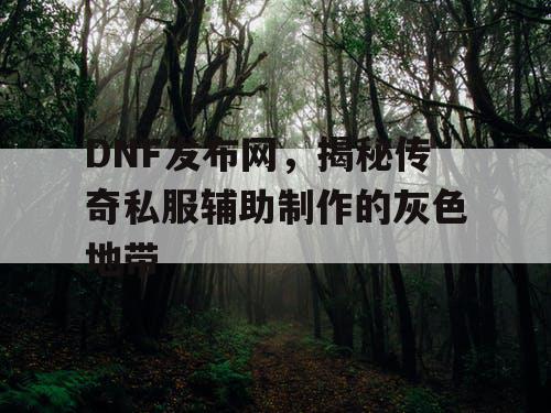 DNF发布网，揭秘传奇私服辅助制作的灰色地带