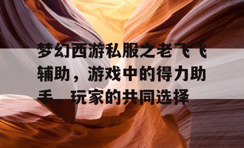 梦幻西游私服之老飞飞辅助，游戏中的得力助手，玩家的共同选择