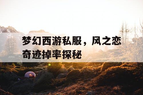 梦幻西游私服，风之恋奇迹掉率探秘