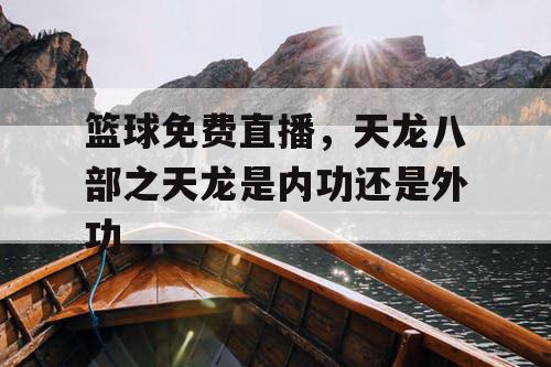 篮球免费直播，天龙八部之天龙是内功还是外功