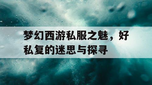 梦幻西游私服之魅，好私复的迷思与探寻