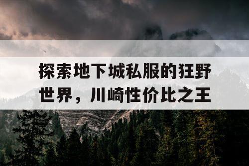 探索地下城私服的狂野世界，川崎性价比之王